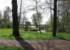 rondje plas op 10-4-11 052 : rondje plas op 10-4-11